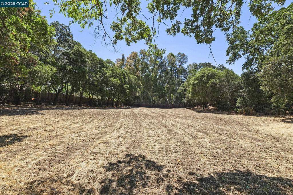 Walnut Creek, CA 94595-1318,Boulevard Way