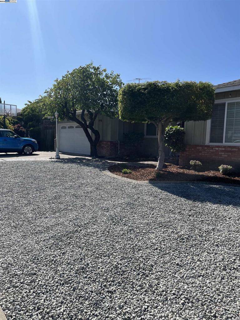 Fremont, CA 94539,866 Olive Ave