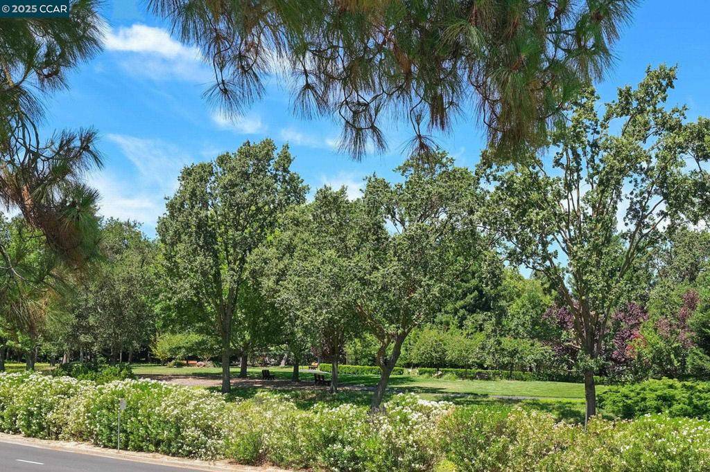 Walnut Creek, CA 94595,1133 Golden Rain Road #3