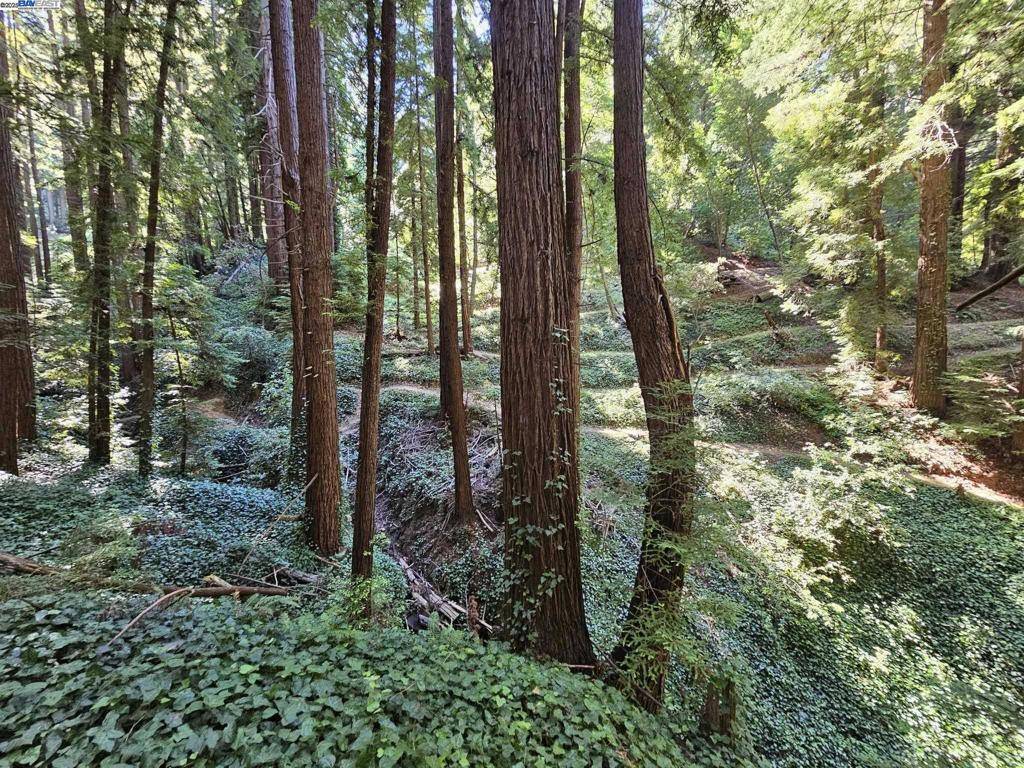 Woodside, CA 94062,26 Old La Honda Rd