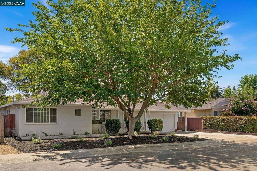 Concord, CA 94519,3248 Reva Dr