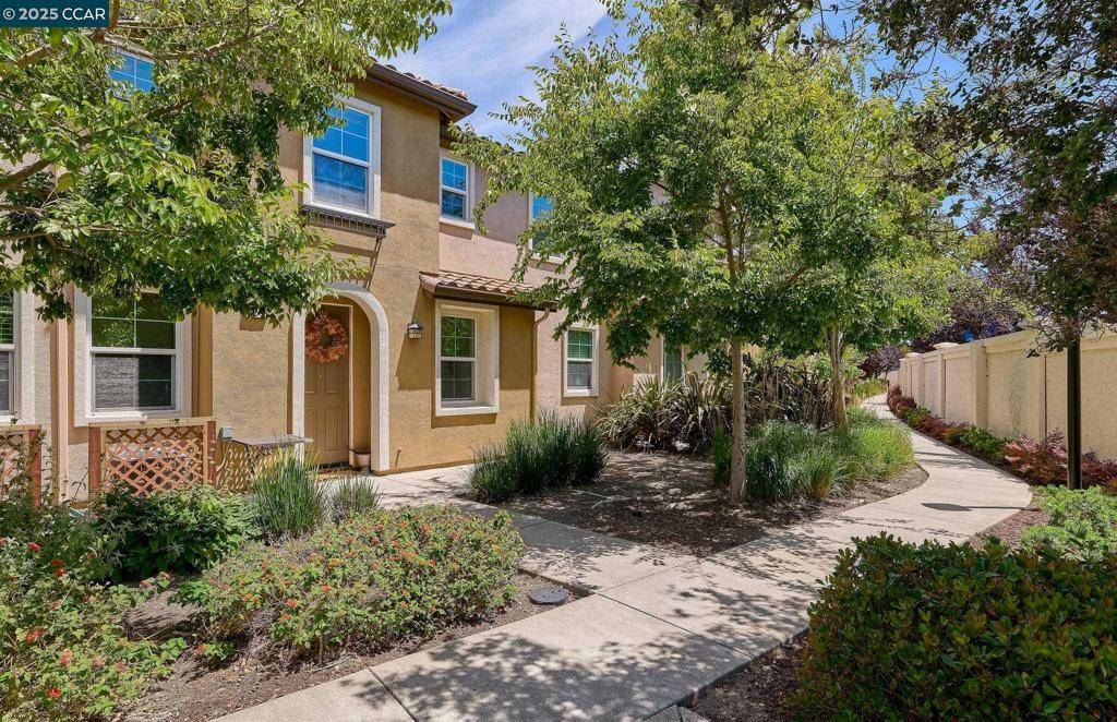 San Pablo, CA 94806,204 Purisima St