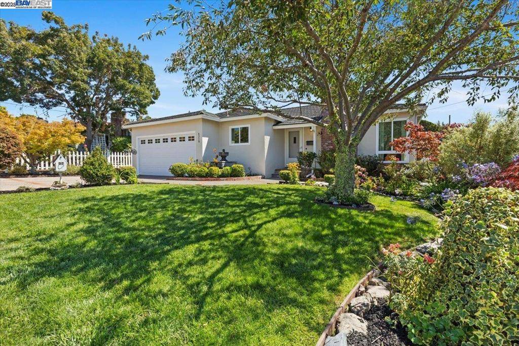 Castro Valley, CA 94546,4319 Shamrock Way