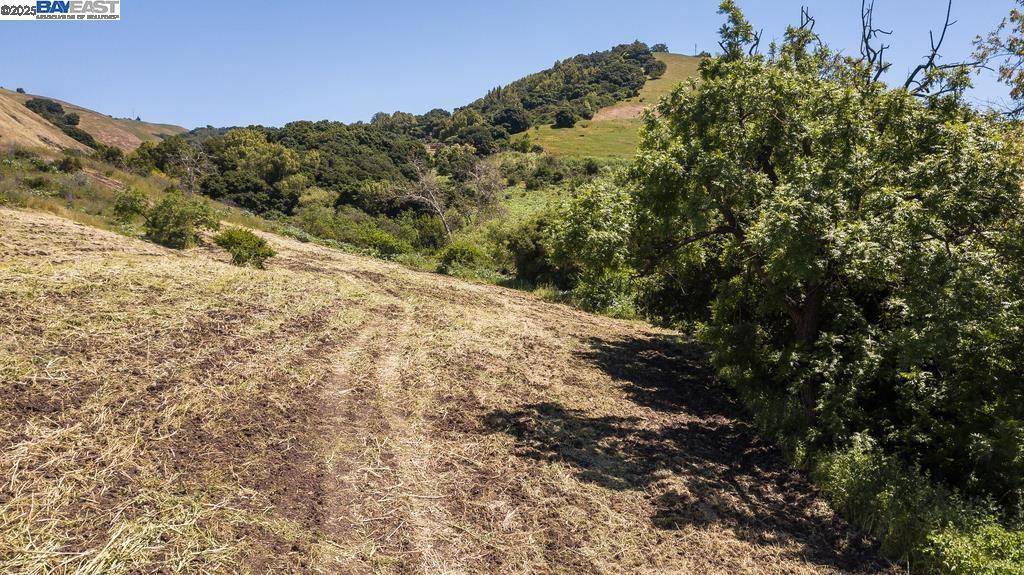 San Jose, CA 95127,12780 Clayton Rd