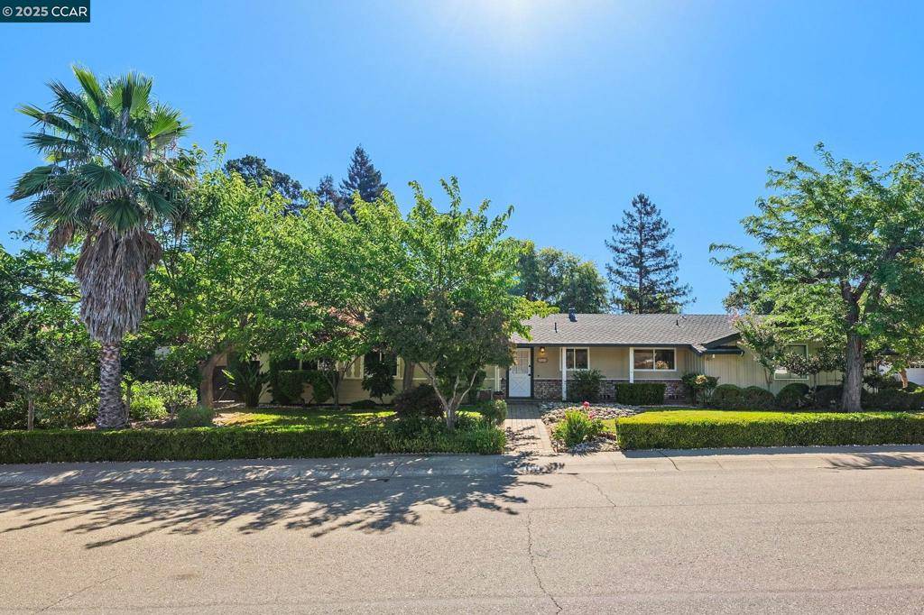Walnut Creek, CA 94598,231 Los Felicas Ave
