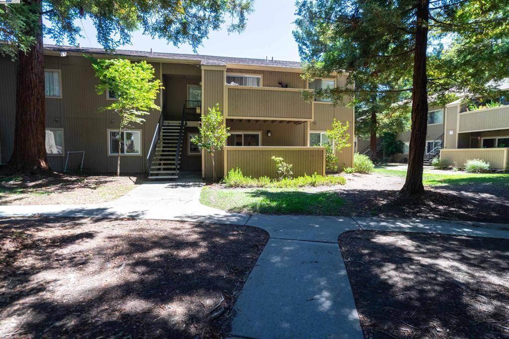 Fremont, CA 94536,3397 Foxtail Ter