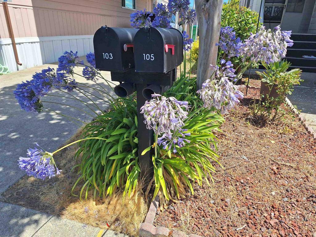 San Leandro, CA 94579,105 Santa Teresa