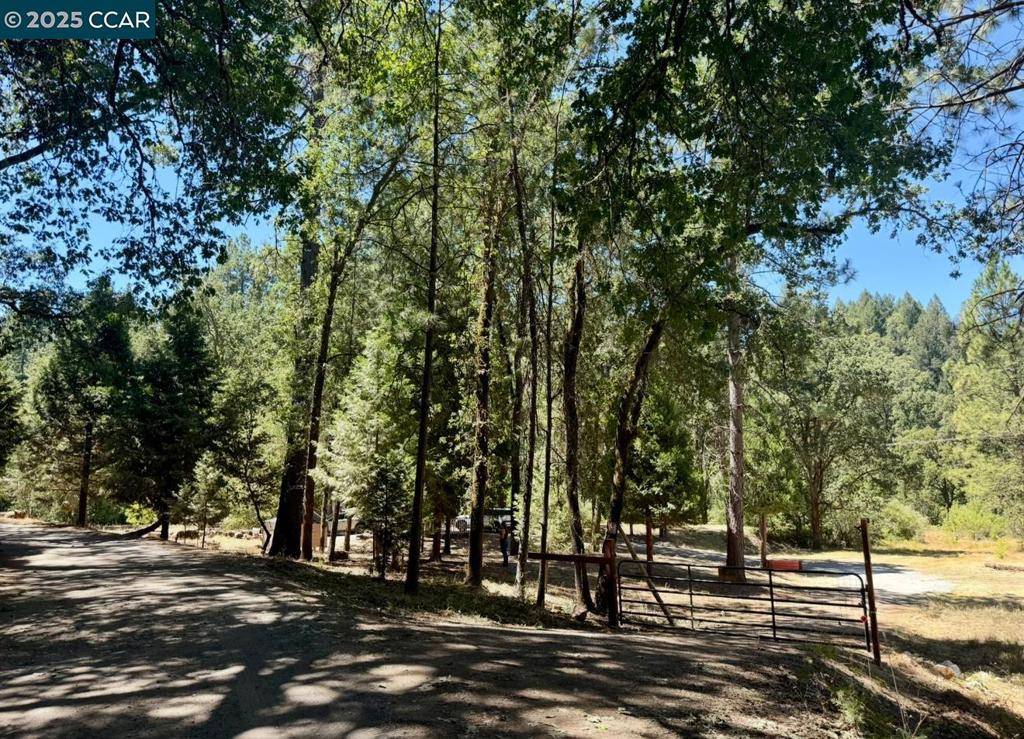 Placerville, CA 95667,4578 Pretty Good Rd