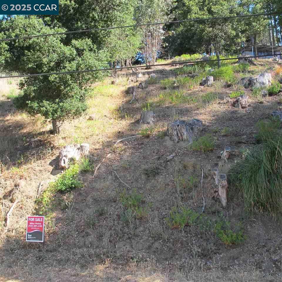 Oakland, CA 94611,Address not disclosed
