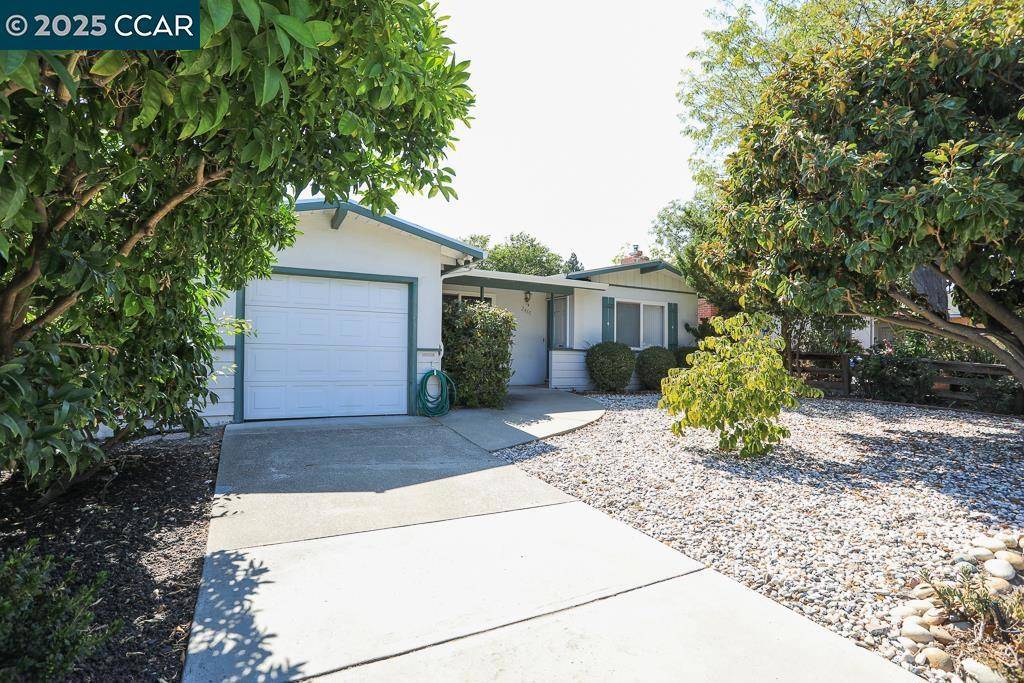 Walnut Creek, CA 94597,2465 Buena Vista Ave