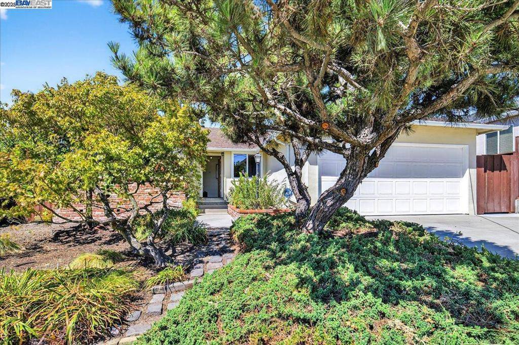 Castro Valley, CA 94546,4028 Meadowview Dr