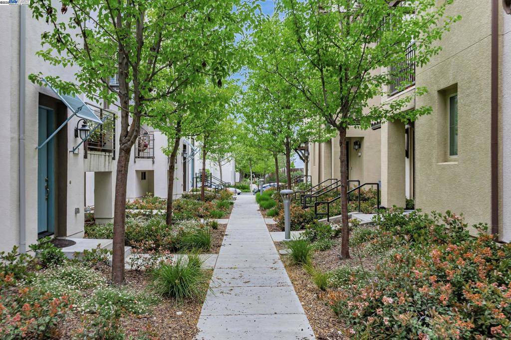 San Jose, CA 95136,223 William manly st #1