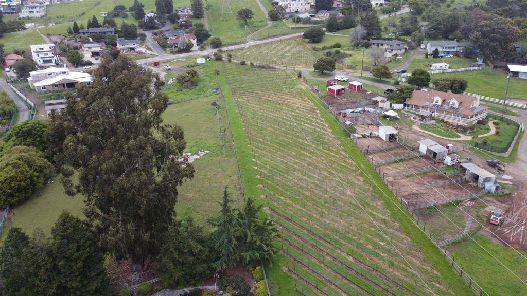 Hayward, CA 94542,0 Fairview Dr.