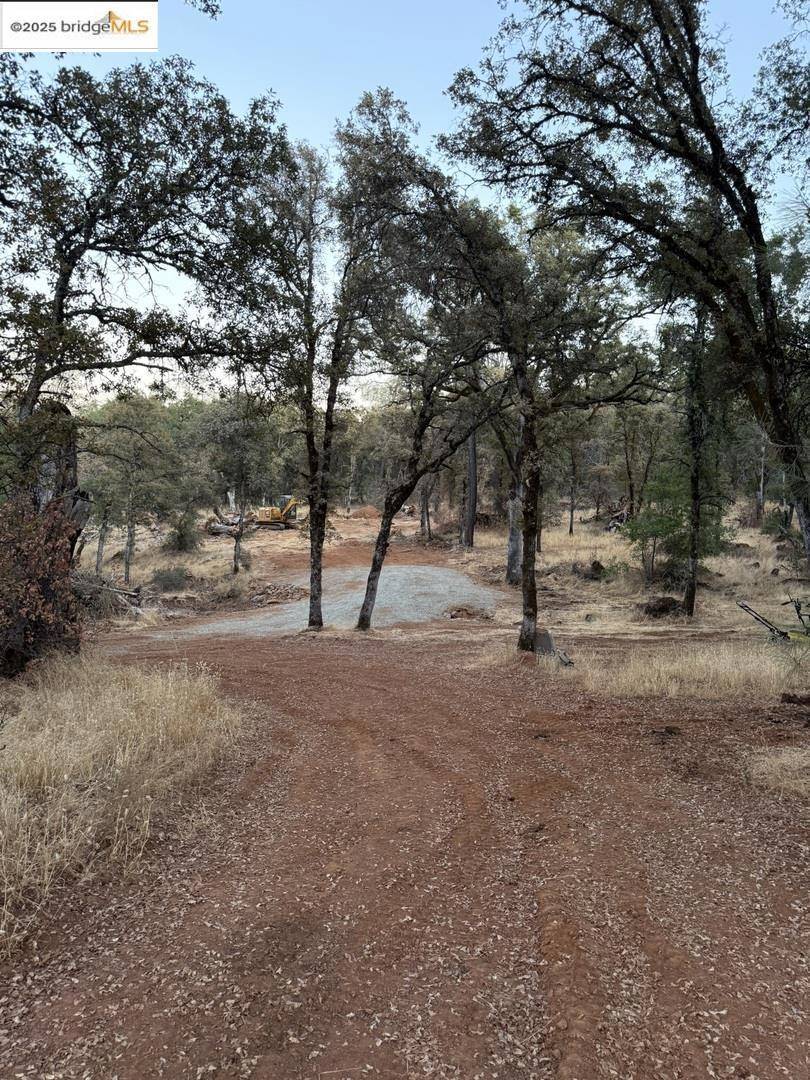 Grass Valley, CA 95949,18891 Tanglewood Hollow WAY