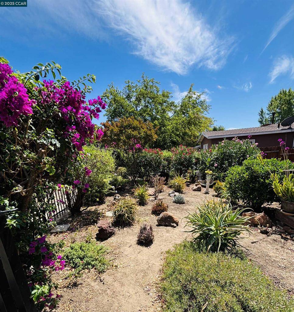 Concord, CA 94520,241 Wellington Ave