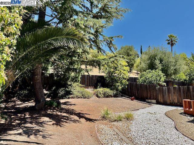 Fremont, CA 94539,715 Sunrise Dr