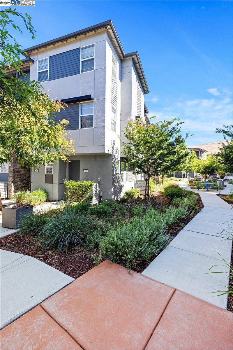 Hayward, CA 94544,389 Line St.