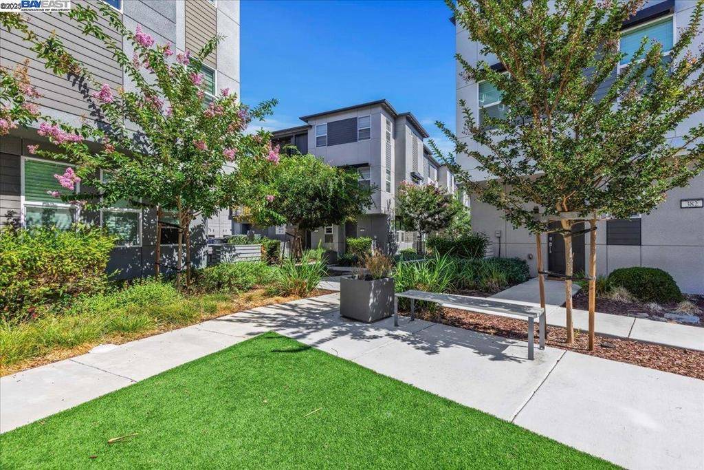 Hayward, CA 94544,389 Line St.