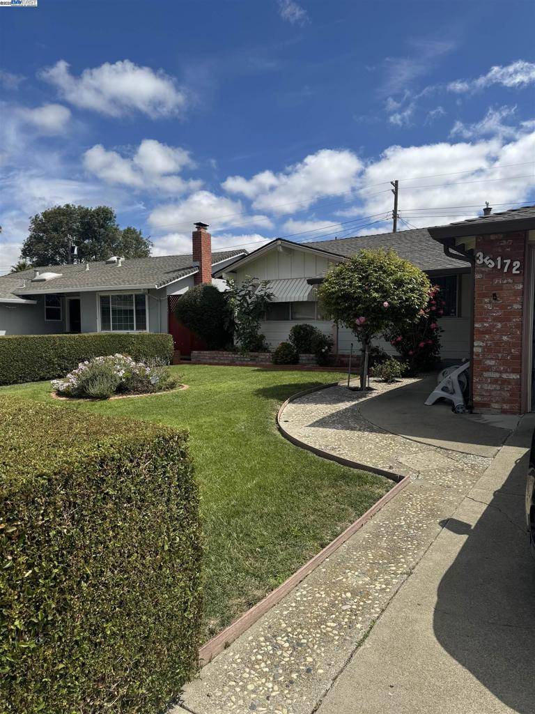 Fremont, CA 94536,35172 Lancero St