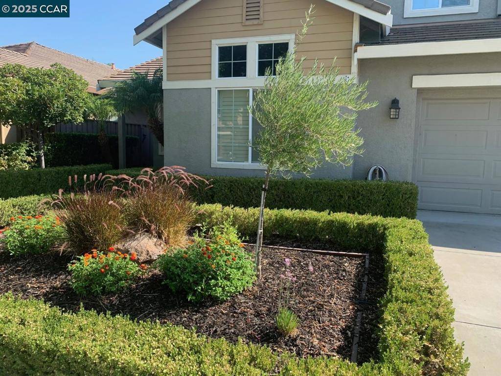 Oakley, CA 94561,1124 Lake Park Dr