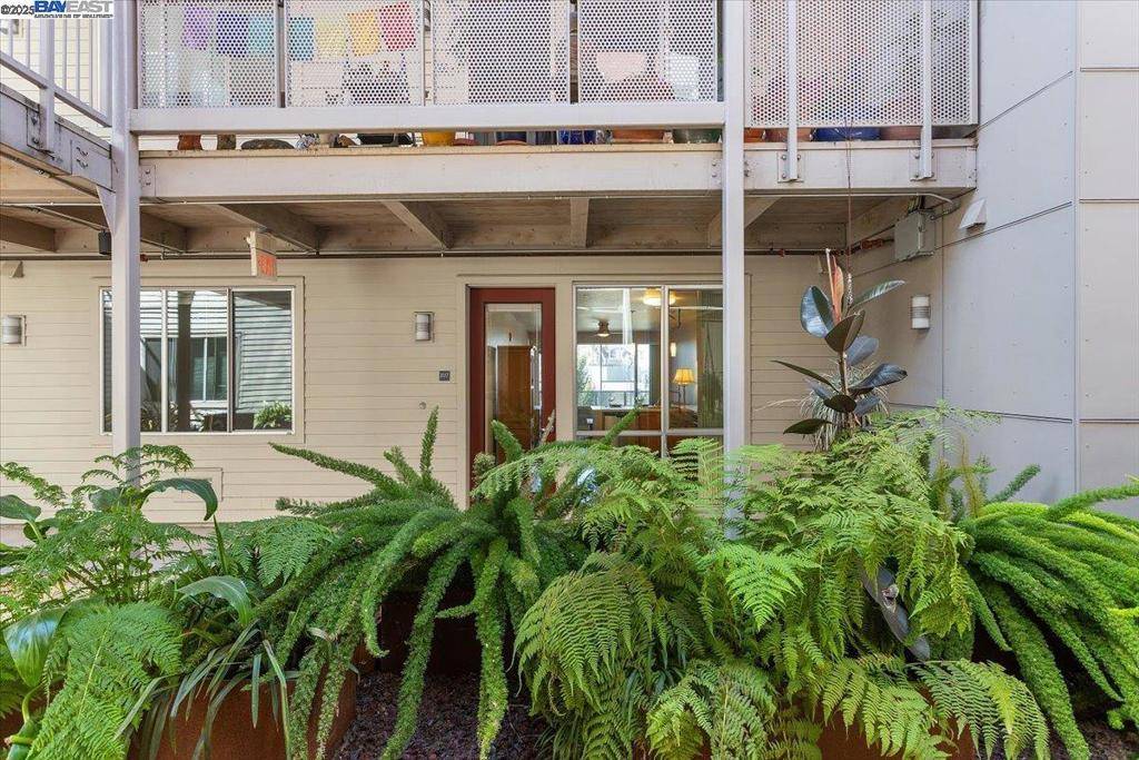 Oakland, CA 94601,340 29th Ave. #207