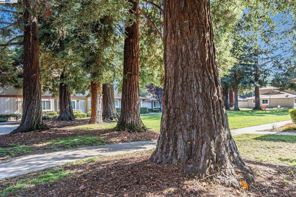 Fremont, CA 94536,38012 Dover Cmn