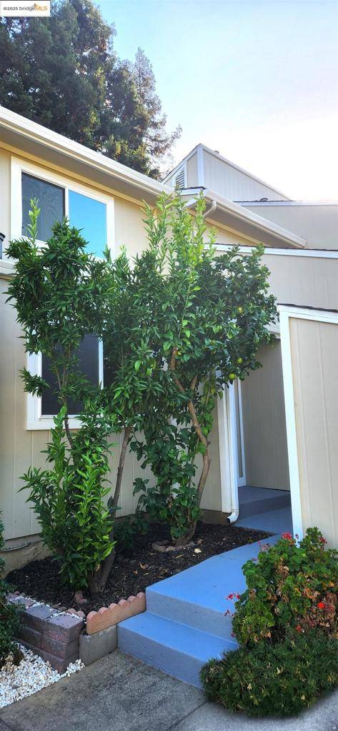 Castro Valley, CA 94552,5389 San Simeon PL