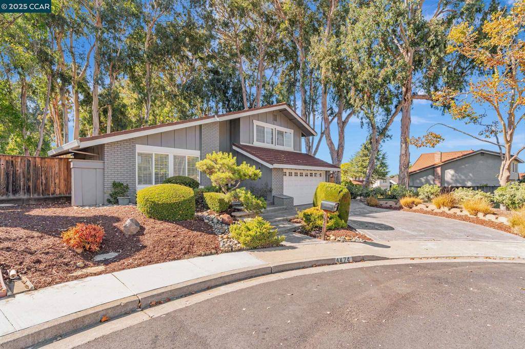 Concord, CA 94521,4474 River Ash Ct