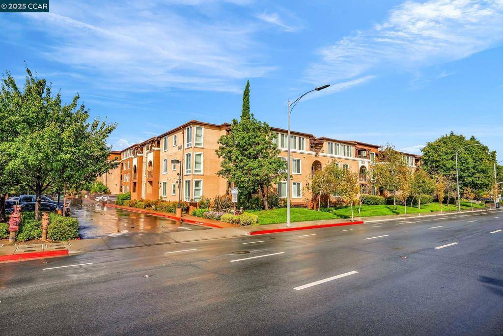 San Jose, CA 95128,801 S Winchester Blvd #2304