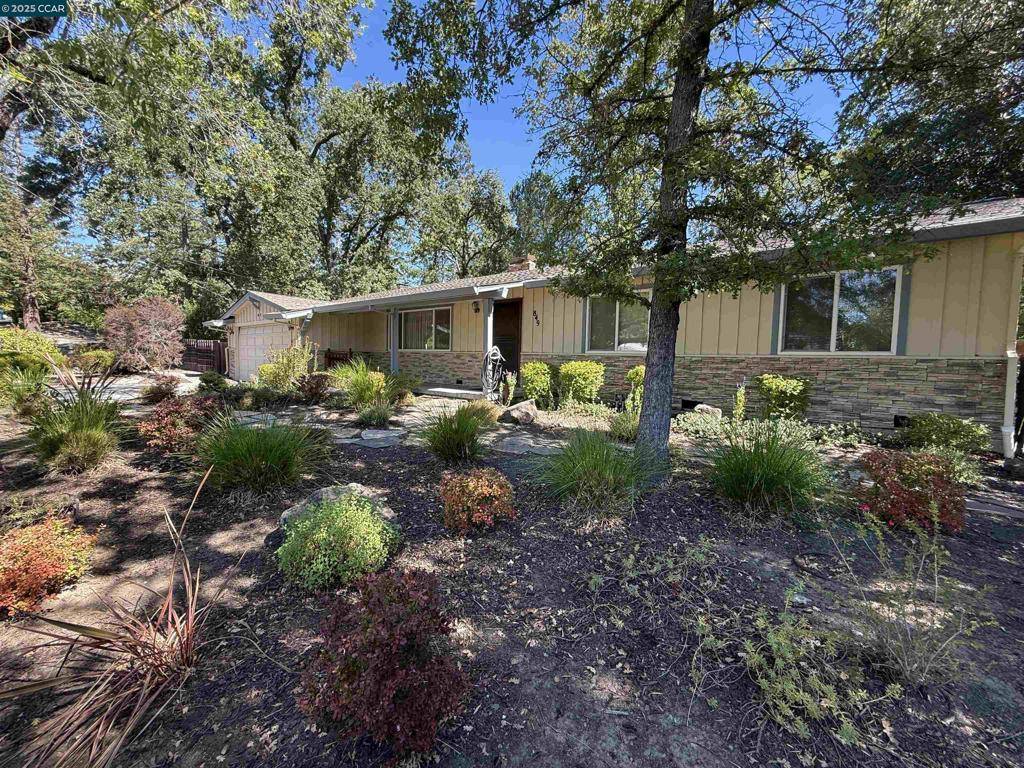 Danville, CA 94526,849 Turrini Drive