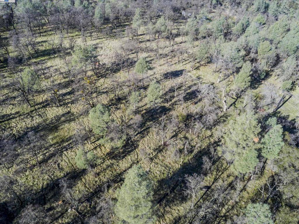 Browns Valley, CA 95918,14011 Neptune Ln