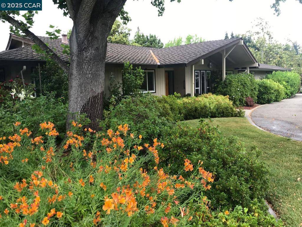 Alamo, CA 94507,171 Via Bonita