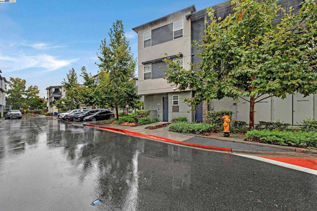 Hayward, CA 94544,409 Line st