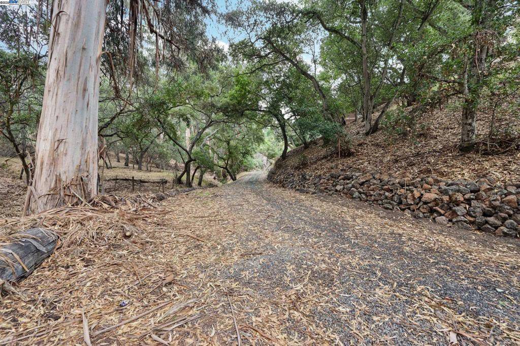 Hayward, CA 94541,0 Hidden Oaks