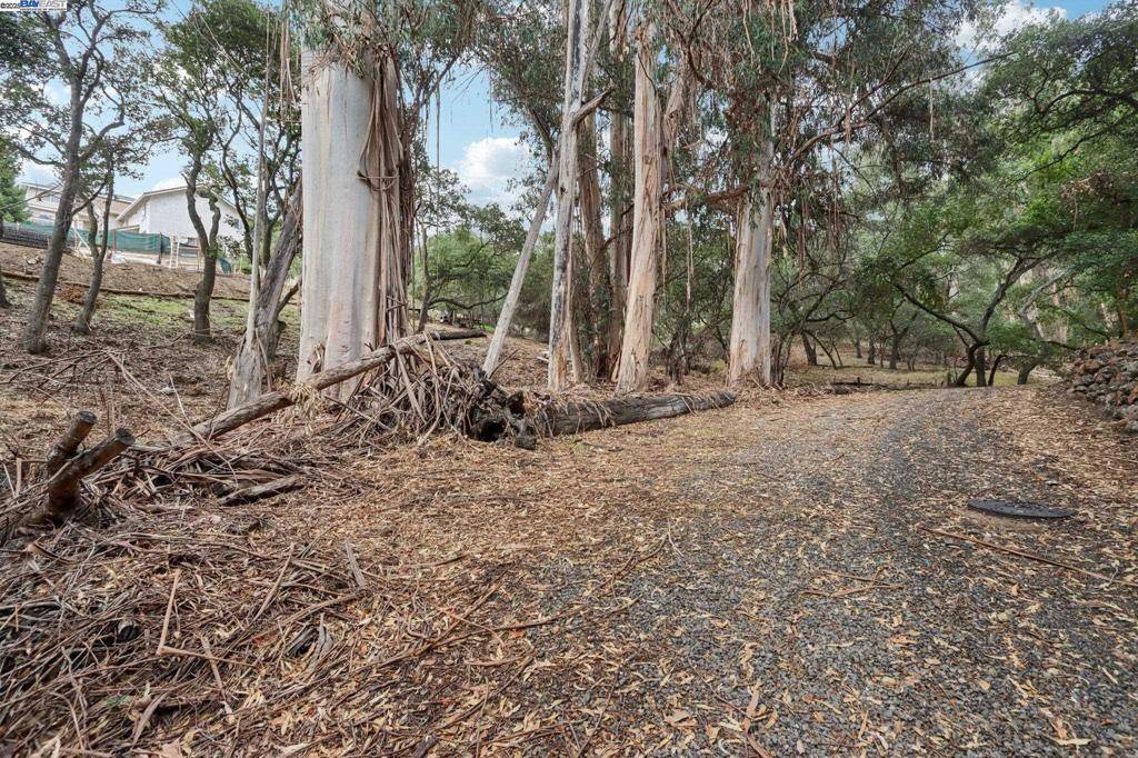 Hayward, CA 94541,0 Hidden Oaks