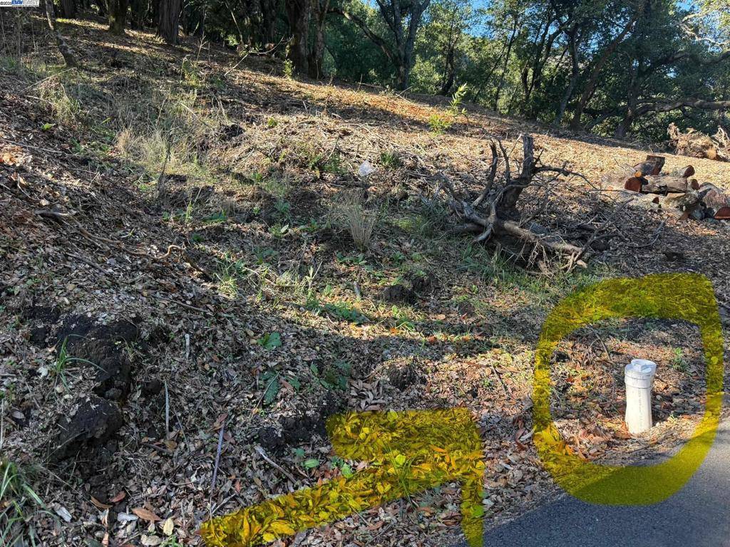 Orinda, CA 94563,0 VISTA DEL ORINDA