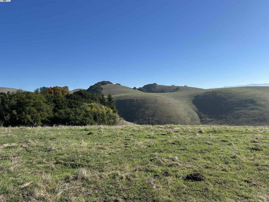 Fremont, CA 94536,Morrison Canyon Rd Lot #2