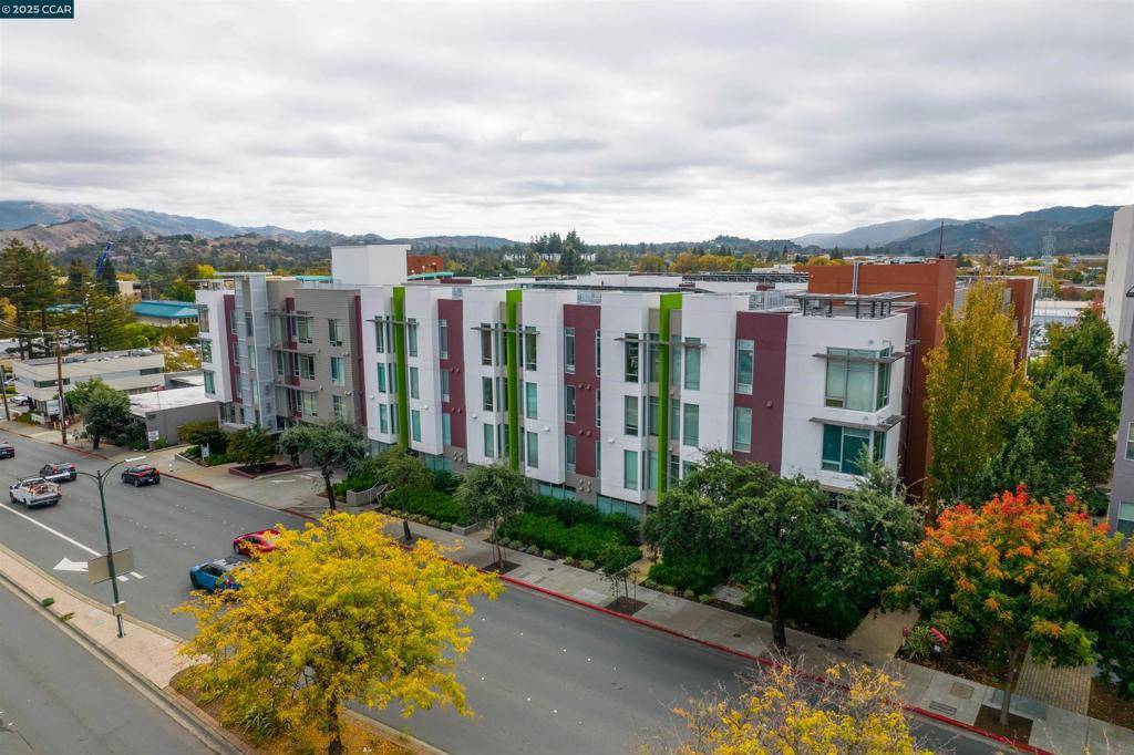 Walnut Creek, CA 94596,555 Ygnacio Valley Rd #204