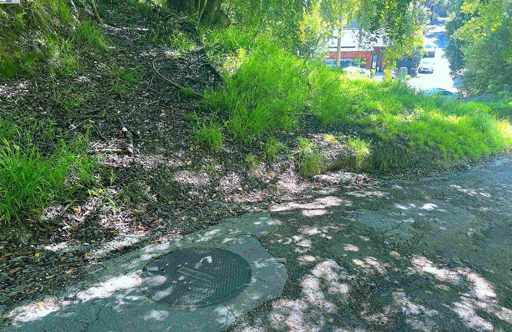 Oakland, CA 94611,0 Willowbank Ct