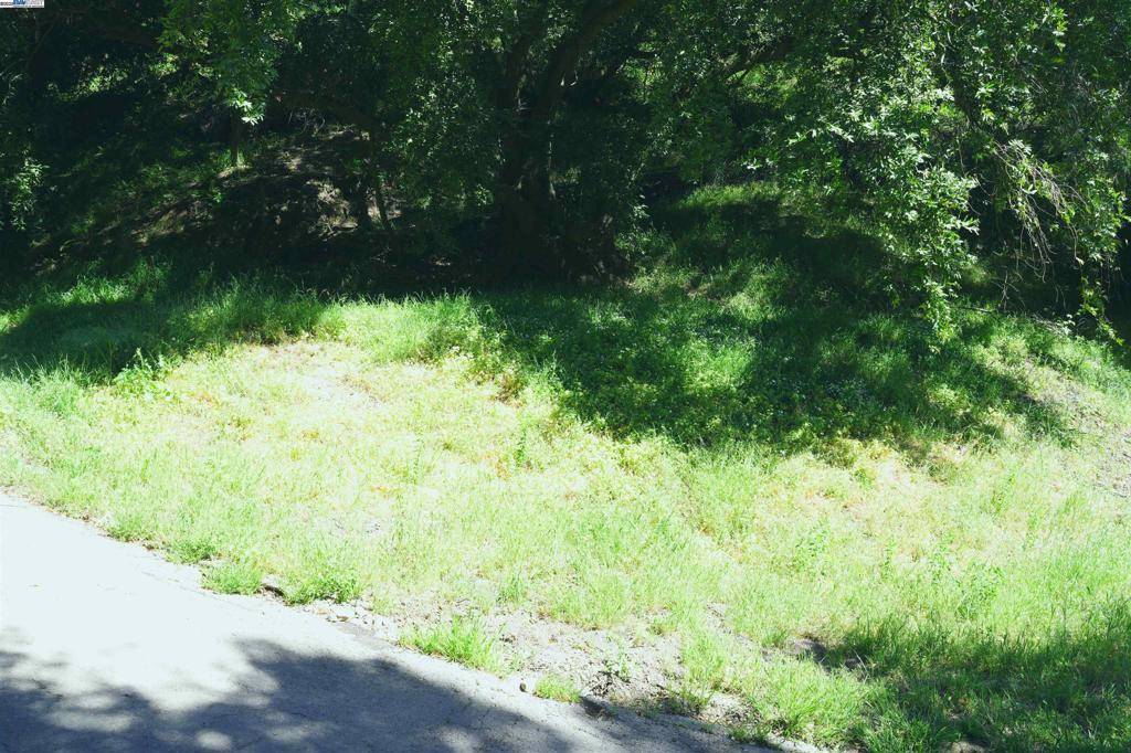 Oakland, CA 94611,0 Willowbank Ct