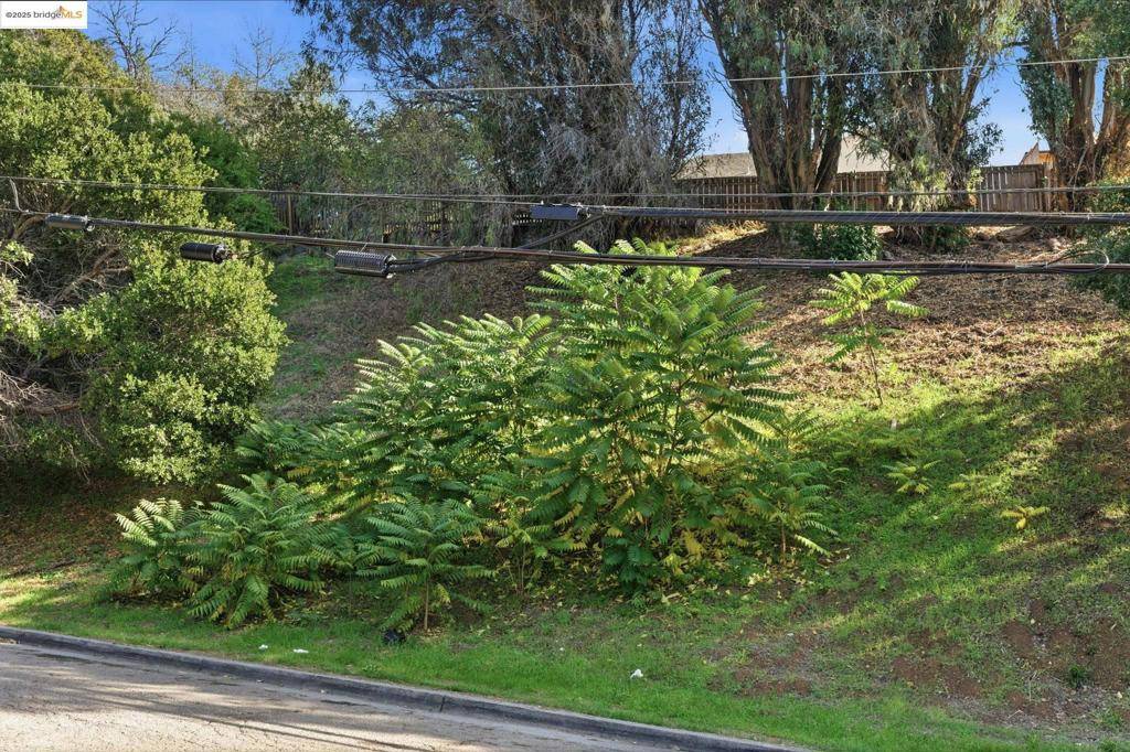 Oakland, CA 94605,9670 Mountain Blvd