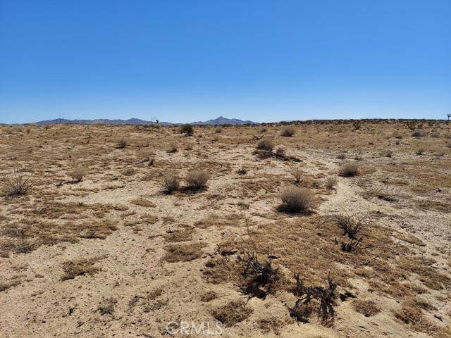 Adelanto, CA 92301,0 Bellflower ST