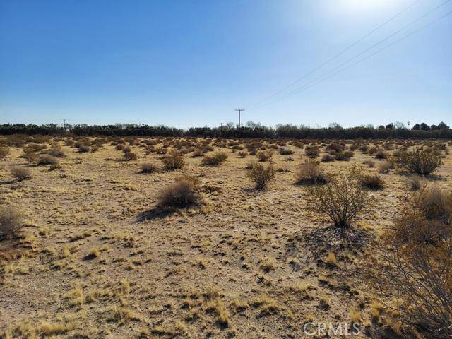 Newberry Springs, CA 92365,1 Valley Center RD