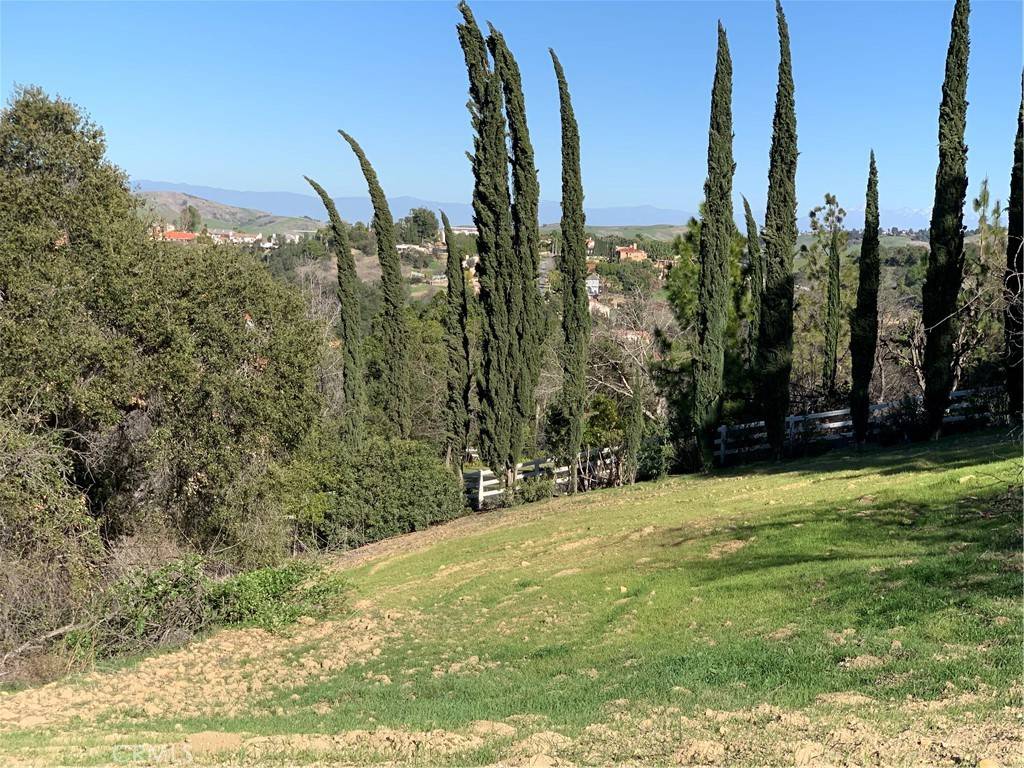 Diamond Bar, CA 91765,2578 Braided Mane DR