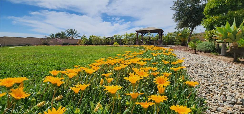 Glendora, CA 91741,267 Snapdragon LN