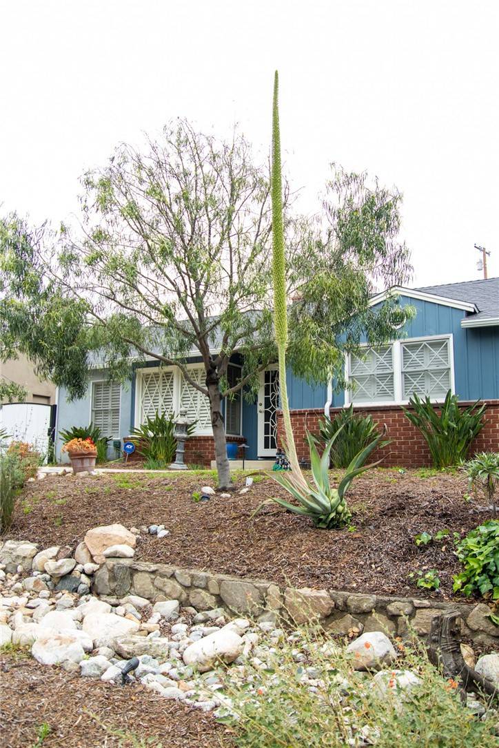 La Crescenta, CA 91214,2619 Mary ST