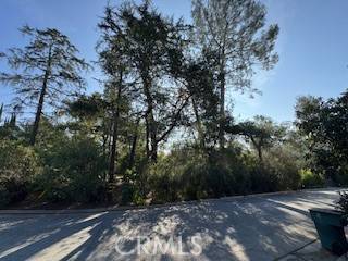 Pasadena, CA 91105,0 Burleigh DR