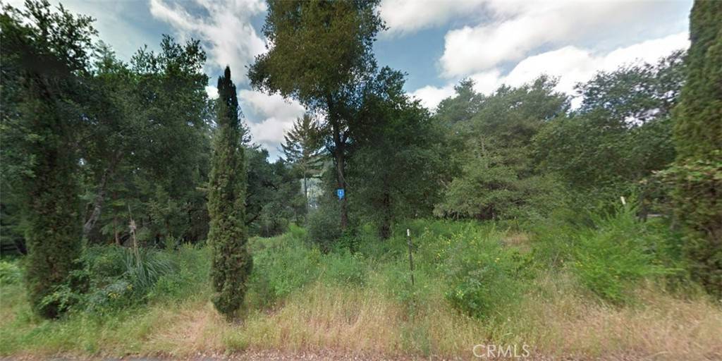 Boulder Creek, CA 95006,603 Middleton DR