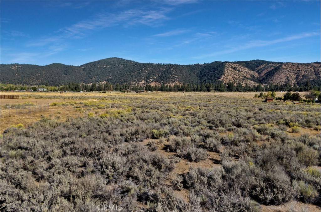 Frazier Park, CA 93225,1085 Dusty TRL