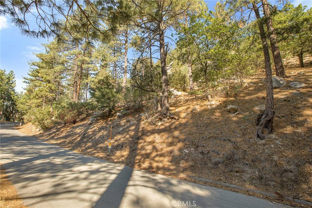 Cedar Glen, CA 92352,0 Torrey RD